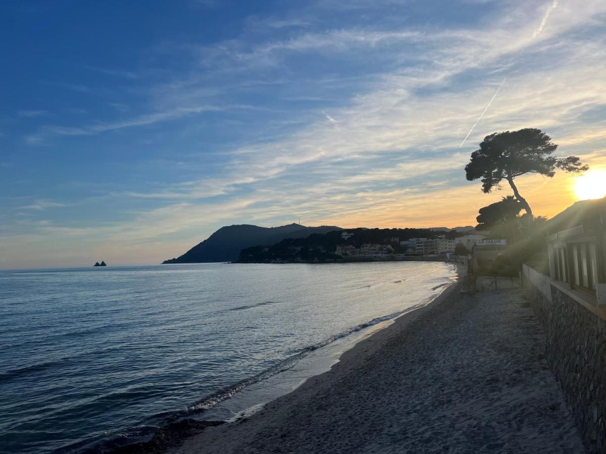 Appartement Pied Dans L'Eau La Seyne-sur-Mer Eksteriør bilde