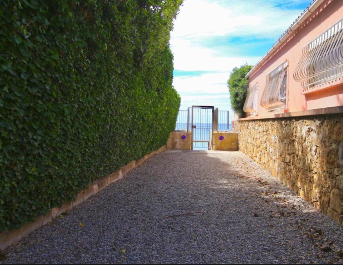 Appartement Pied Dans L'Eau La Seyne-sur-Mer Eksteriør bilde